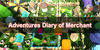 Adventures Diary of Merchant