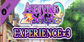 Asdivine Saga Experience x3 PS5