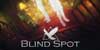 Blind Spot PS4