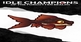 Idle Champions Xanathars Goldfish Familiar Pack Xbox Series X