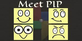 Meet PIP