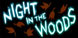 Night in the Woods PS4