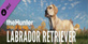 theHunter Call of the Wild Labrador Retriever Xbox Series X