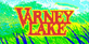 Varney Lake PS5